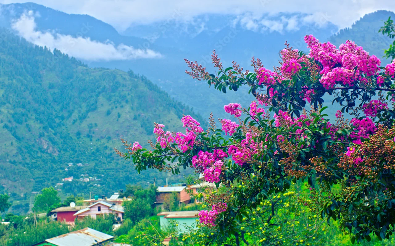 MANALI-KULLU-NAGGAR-MANALI